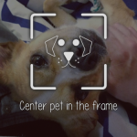 Superfish’s PetMatch Uses Your Camera To Pair You With The Pet Of Your Dreams