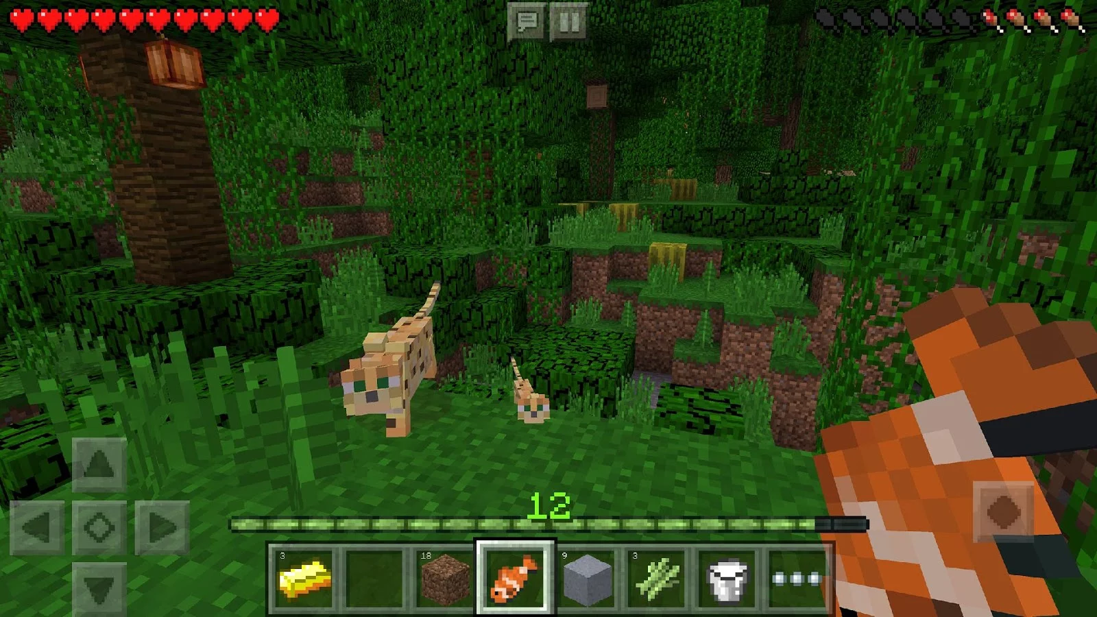  Minecraft - Pocket Edition: captura de tela 