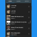 Dio Pro : Music Player v1.0.1 [Paid]