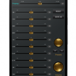JetAudio HD Music Player Plus v9.5.1 [Mod Gold Design]