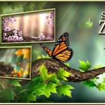 Download Season Zen HD v2.0.0.2432 APK Full